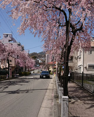 宝塚南口駅からの道順（1）